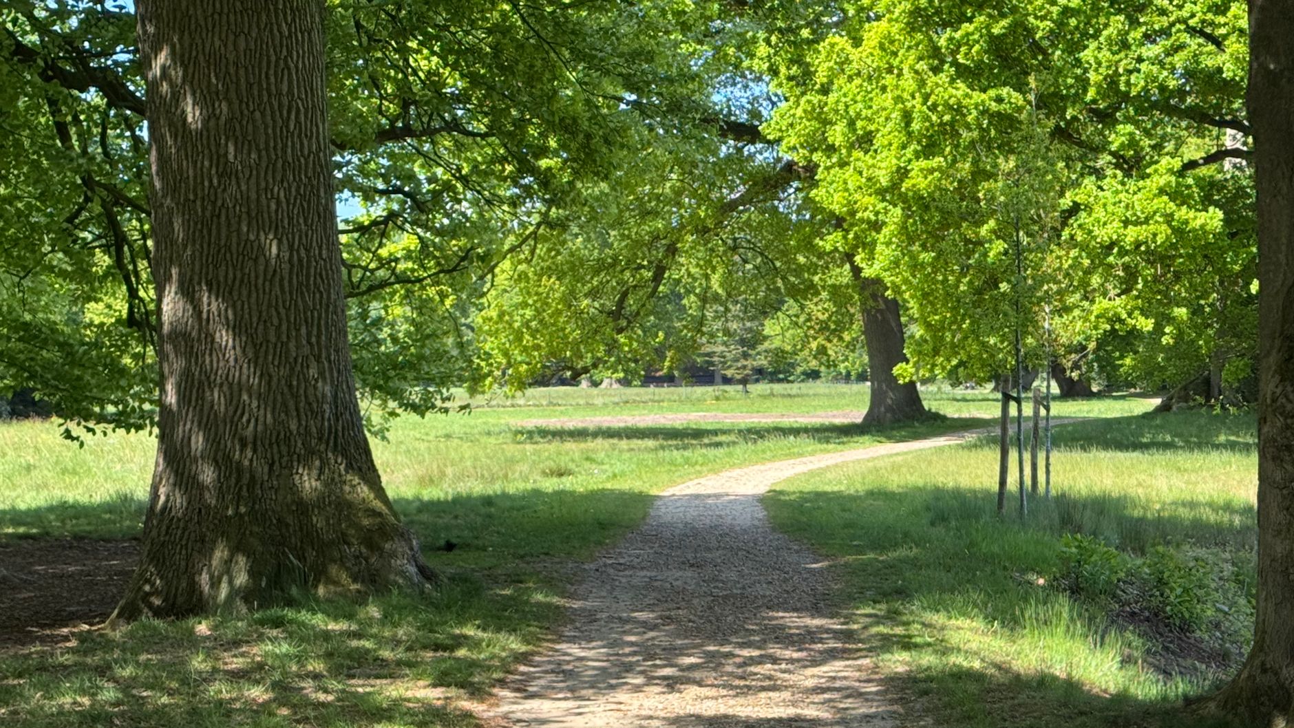 Lutte contre les nuisibles à Saint-Louis